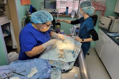 Dr.-Dawn-Fiedorczyk-and-Lauren-Cann-surgery